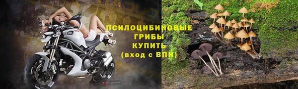 гашиш Магас