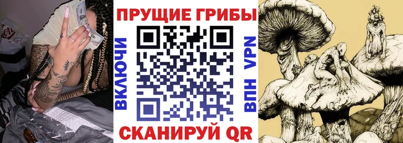 что такое   Чекалин  Псилоцибиновые грибы мухоморы 